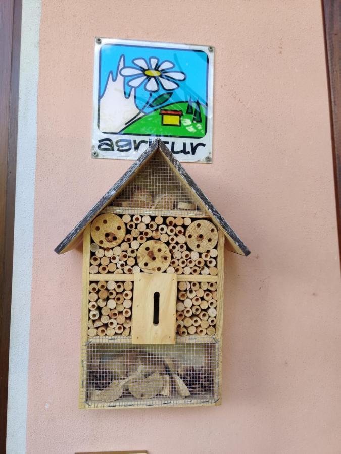 Agritur Leita Villa Tuenno Dış mekan fotoğraf
