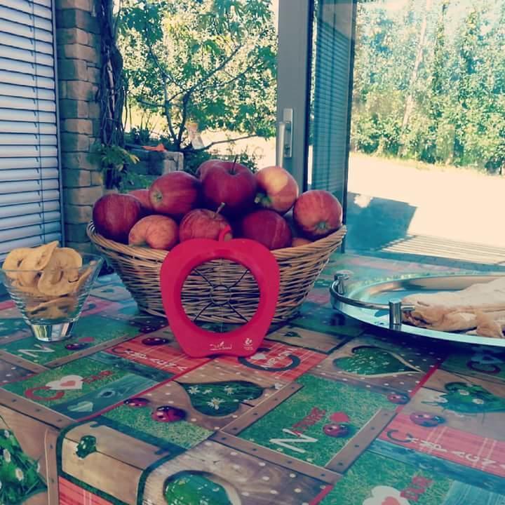 Agritur Leita Villa Tuenno Dış mekan fotoğraf