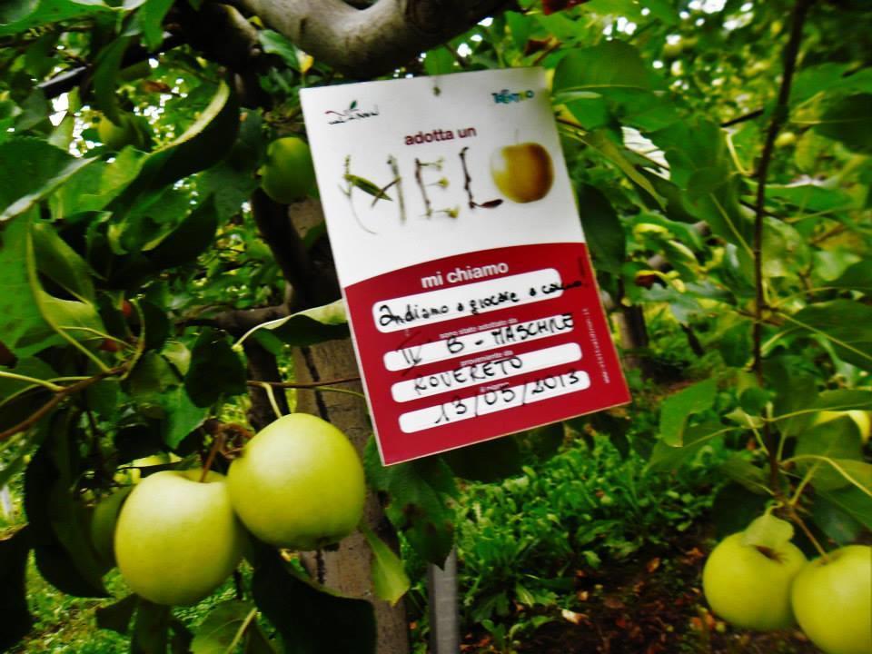 Agritur Leita Villa Tuenno Dış mekan fotoğraf