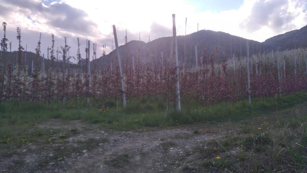 Agritur Leita Villa Tuenno Dış mekan fotoğraf